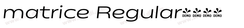 matrice Regular字体转换